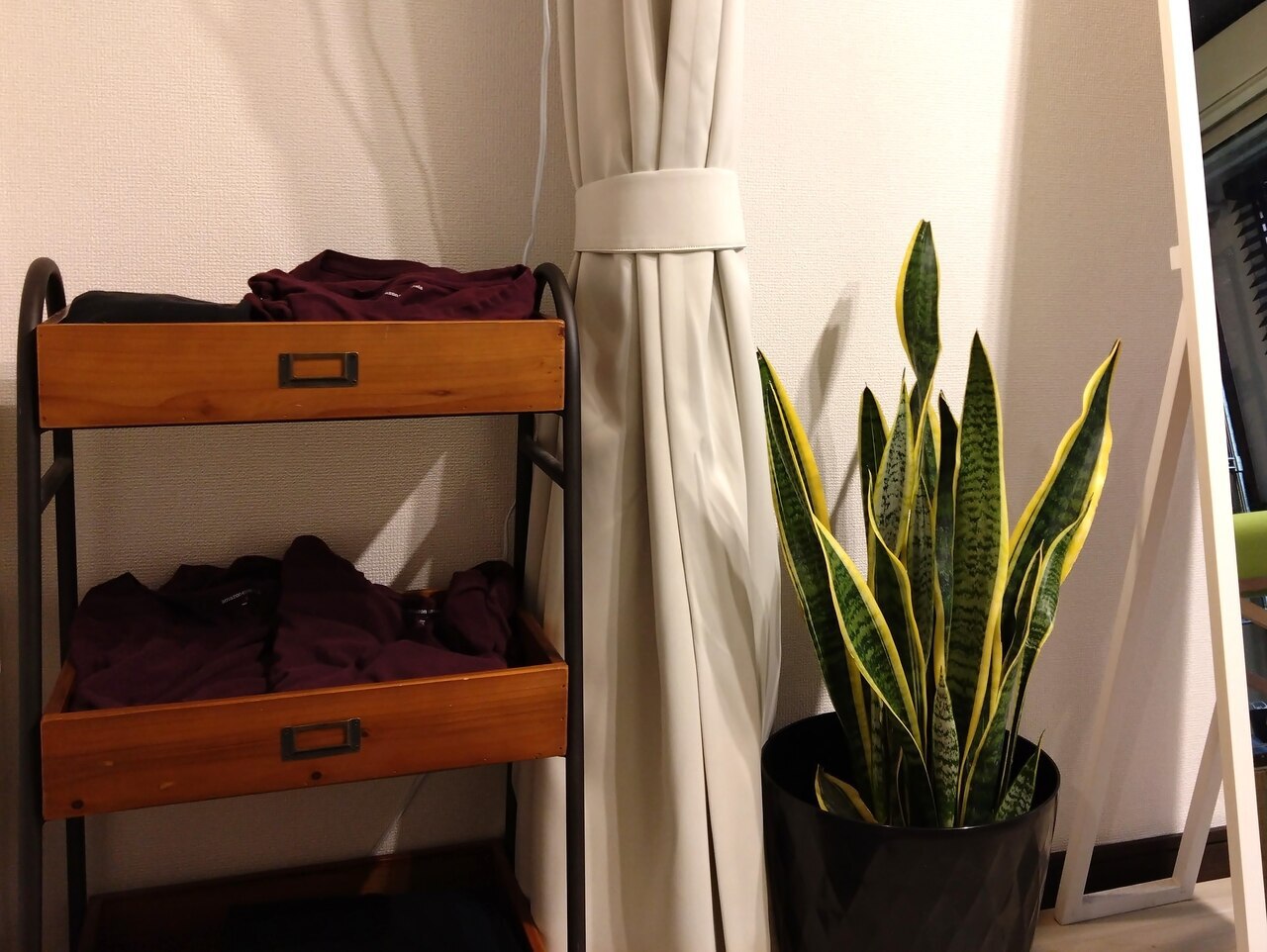 首肩こり・自律神経特化 整体サロンNao（学芸大学）